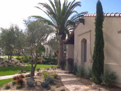 Mediterranean Landscape Design in San Diego, CA
